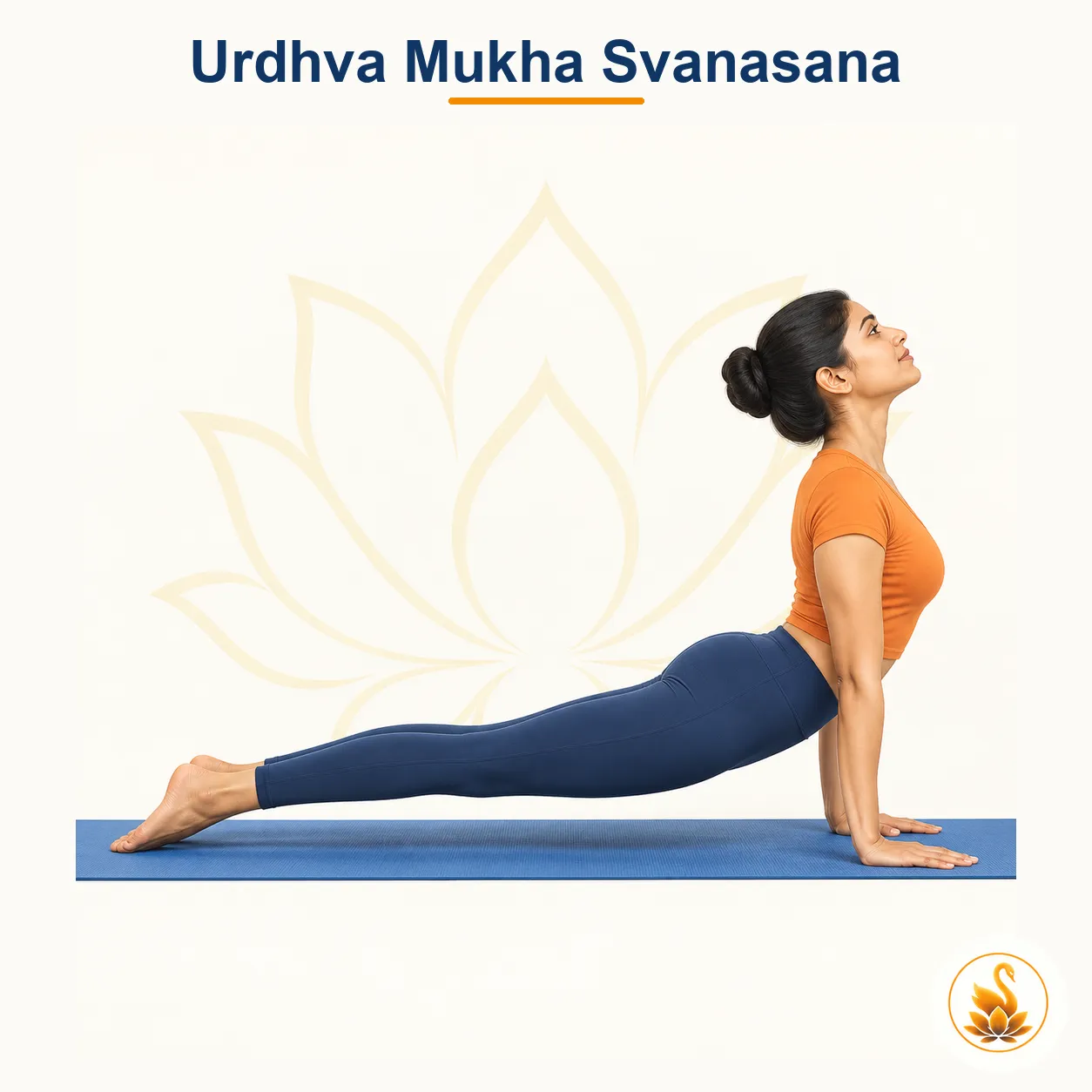Urdhva Mukha Svanasana - Upward-Facing Dog yoga asana
