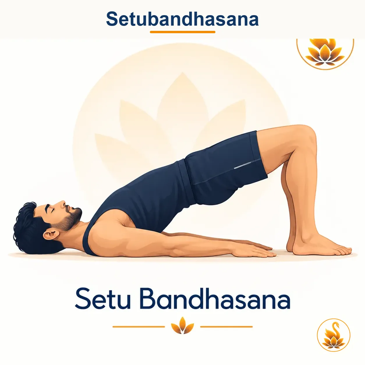 Setubandhasana - Bridge Pose yoga asana