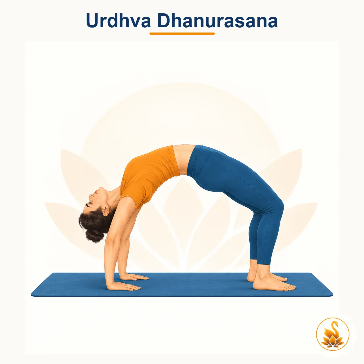 Urdhva Dhanurasana - Upward Bow / Wheel Pose yoga asana