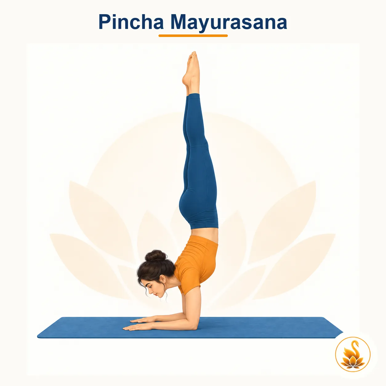 Pincha Mayurasana - Forearm Stand yoga asana